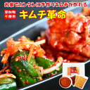 家で手作り キムチ 無添加 『キムチ革命』送料無料  樽の味 国産 乳酸菌 発酵食品 漬け物 キムチ 韓国 漬物 キムチの素 キムチ鍋 唐辛子味噌 簡単 キムチ カクテギの素