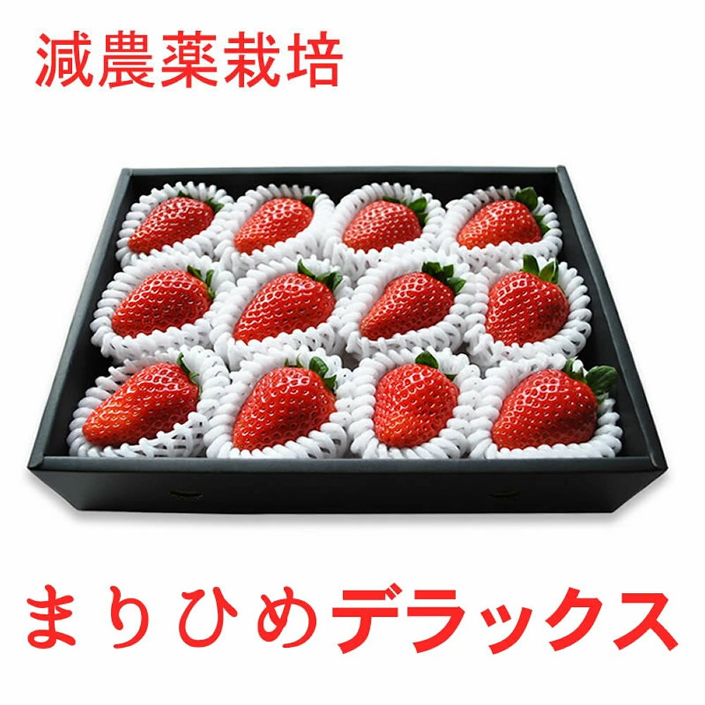 【販売予定期間は3月下旬まで】テレビでも話題！減農薬★『紀州イチゴ「まりひめデラックス」』和歌山オリジナル品種 送料無料 こだわり イチゴ いちご 低温栽培 まりひめ プレミアム 宅配便専用 樽の味 クール冷蔵便 贈り物 食べ物 ギフト お取り寄せ お歳暮ギフト お年賀のサムネイル