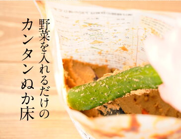 テレビ 所さん大変ですよで話題の漬けもん屋の『ぬか床スタンドパック』800gメール便送料無料 容器不要 発酵食品 植物性乳酸菌 ぬかみそ 糠床 ぬかどこ 漬物 熟成ぬか床 RCP ぬか漬 ぬか 樽の味 贈り物 食べ物 ギフト 敬老 敬老の日 敬老ギフト 敬老の日ギフト 敬老 敬老の日