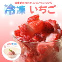 自宅でいちごアイスが作れる『冷凍いちご500g』冷凍便 減農薬 まりひめ 有機栽培 イチゴ 手作り スムージー 氷 冷凍 かき氷 贈り物