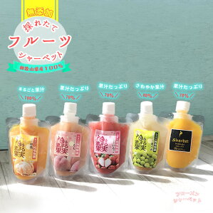 フルーツ果汁たっぷり『濃厚・和歌山フルーツシャーベット5個セット』和歌山県産フルーツ100%使用 冷凍便 イチゴ いちご オレンジ もも ピーチ 青梅 マンゴー 氷菓 果汁100 果汁70 アイス 濃厚 甘い 濃い お歳暮 お歳暮ギフト 御歳暮 歳暮 お年賀 年賀 御年賀