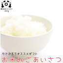 お米deごあいさつ【無洗米】令和2年度福島県産コシヒカリ2合パック(300g)米 販促品 粗品 御礼【楽ギフ_のし】【楽ギフ_メッセ入力】【HLS_DU】P25Apr15