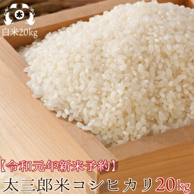 令和元年度 福島県産 コシヒカリ 米 20kg（5kg×4袋）送料無料 米【HLS_...