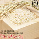 令和元年度　福島県産「ゆうだい21」玄米25kg（5kg×5袋）精米後白米22.5kg（4.5kg×5袋）送料無料【数量限定】【endsale_18】