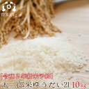 【新米】令和2年度　福島県産「ゆうだい21」白米10kg（5kg×2袋）送料無料 【数量限定】