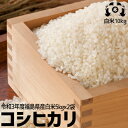 令和3年度 福島県産　コシヒカリ 米10kgお米 10kg 