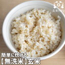 【6合分900g】玄米なのに「無洗米」