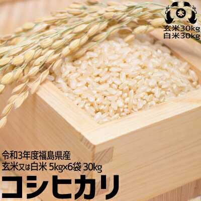 令和3年度　福島県産　コシヒカリ玄米30kg又は白米30kg 【送料無料】お米 送料無料 米30kg 送料無料