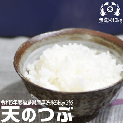 楽ちん！【無洗米】令和5年度福島県産天のつぶ10kg（5kg×2袋）送料無料 お米 10kg 無洗米10kg 送料無料 こめや たさぶろう