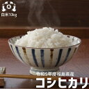 令和5年度 福島県産　コシヒカリ 米10kgお米 10kg 送料無料 米10kg送料無料 白米10kg 送料無料　米10キロ　白米10キロ こめや たさぶろう