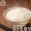 令和5年度　福島県産　コシヒカリ　玄米30kg又は白米30kg 【送料無料】お米30kg 送料無料 米30kg 送料無料 米 30kg 送料無料 精米無料 米30キロこめやたさぶろう