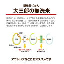 楽ちん！【無洗米】令和5年度福島県産天のつぶ10kg（5kg×2袋）送料無料 お米 10kg 無洗米10kg 送料無料 こめや たさぶろう 2