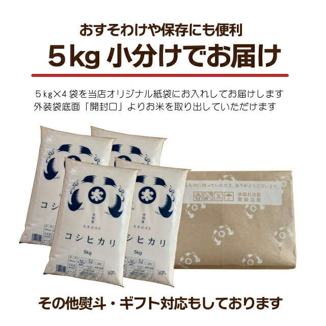 �����ݥ����ѤǺ���1000��OFF �� ���� ���� ���� ����̵�� �������ҥ��ꡡ����20kg ����7ǯ�١�ʡ�縩��