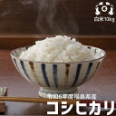 令和6年度 福島県産 コシヒカリ 米10kgお米 10kg 送料無料 米10kg送料無料 白米10kg 送料無料 米10キロ 白米10キロ こめや たさぶろう