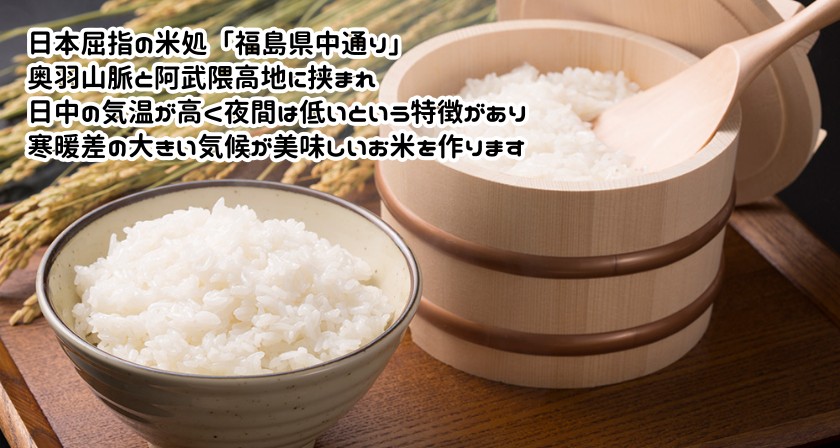 【5kg小分けで便利】令和3年度 福島県産ひとめぼれ 米20kg（5kg×4袋）お米20kg送料無料 米20kg送料無料