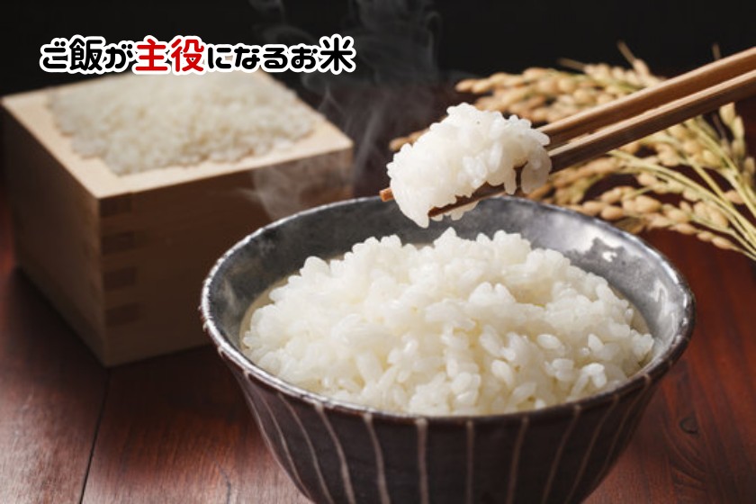 令和3年度福島県産　太三郎米コシヒカリ白米10kg（5kg×2袋）送料無料 米 10kgお米 送料無料