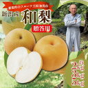 秀品 新潟産 和梨 5kg(10個から16個)八雲・愛甘水・幸水・豊水・二十一世紀・南水・新高・新興 ご贈答 ご家庭 ギフト 梨 なし