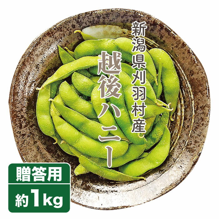 【予約受付中】枝豆 越後ハニー 1kg 生産者・板垣農園 新潟県産 お中元 ギフト 贈り物 贈答品