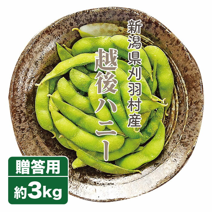 枝豆 越後ハニー 3kg 生産者・板垣農園 新潟県産 お中元 ギフト 贈り物 贈答品