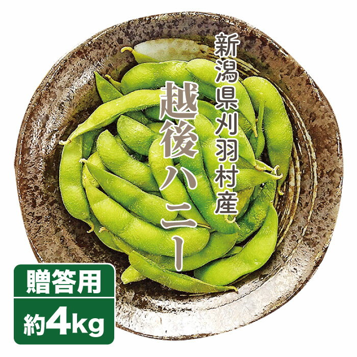 枝豆 越後ハニー 4kg 生産者・板垣農園 新潟県産 お中元 ギフト 贈り物 贈答品