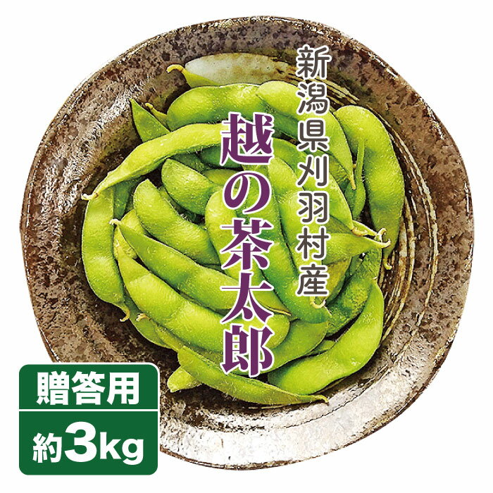 【予約受付中】枝豆 越の茶太郎 3kg 生産者・板垣農園 新潟県産 お中元 ギフト 贈り物 贈答品