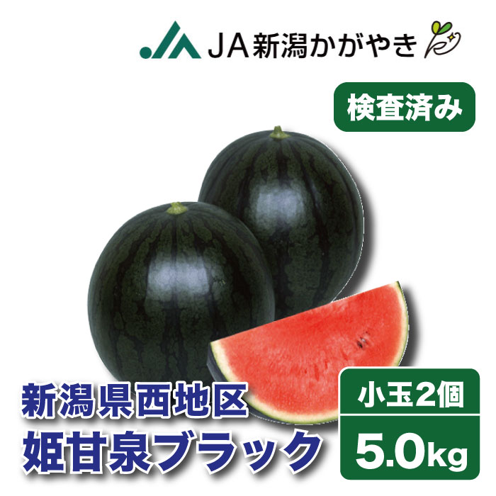 【予約受付中】姫甘泉ブラック スイカ 西瓜 秀品 贈答用 小玉サイズ 5kg (2玉) 新潟市西区赤塚地区産 検査済み お歳暮 送料無料 ギフト 贈り物 贈答品 高級