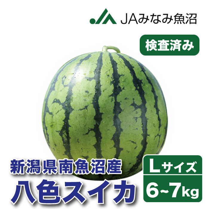 ■商品ページ下部にある商品仕様（注意事項）を必ず確認の上、ご注文お願い致します。