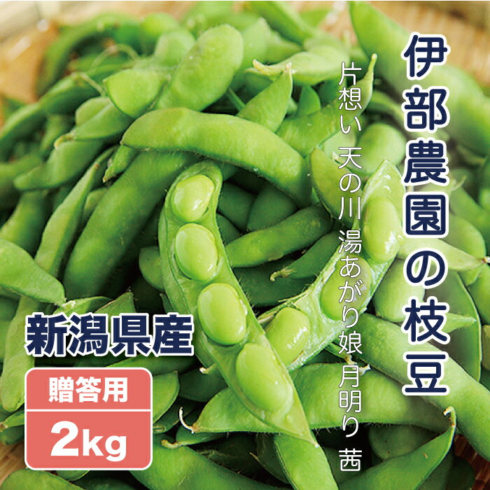 【予約受付中】枝豆 2kg 生産者・伊