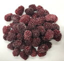 新潟で初めて無農薬 オーガニックに成功した ボイセンベリー 500g【国産 ボイセンベリー ボイズンベリー ベリー 無農薬 オーガニック ボイセンベリー 冷凍 ...
