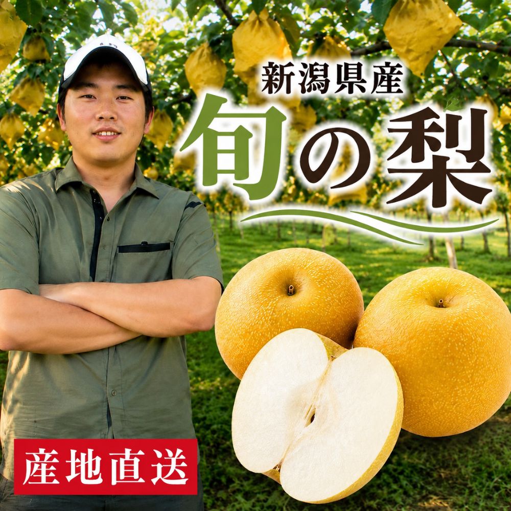 新潟県産 梨 旬の和梨 産地直送 やまきん農園 加茂地区 季節の梨 おまかせ品種 幸水 豊水 あきづき 新興 新高 2kg 3kg 5kg その時いちばん美味しい、新潟の旬をお届け。 新潟県加茂地区 やまきん農園から、旬の和梨をお届けします。やまきん農園では、季節の移り変わりとともに、さまざまな品種の梨を栽培しています。8月頃から始まる幸水を皮切りに、豊水、あきづき、新興、新高など、その時期に旬を迎えた梨へとリレー。品種をひとつに限定するのではなく、ご注文いただいた時期におすすめの旬の梨を厳選してお届けします。シャリッとした心地よい食感、口いっぱいに広がるみずみずしい果汁、季節とともに変化する甘さや香り。品種ごとに異なる和梨のおいしさをお楽しみください。内容量2kg 5-7玉3kg 7-10玉5kg 9-16玉お届けする品種の一例幸水　シャリッとした食感とみずみずしさ豊水　やさしい甘みとたっぷりの果汁あきづき　甘みが強く、上品な味わい新興　大玉でしっかりとした食感新高　大玉で濃厚な甘みお届けする品種は収穫時期により異なります。品種のご指定はできません。天候や生育、収穫状況により、品種やお届け時期が前後する場合がございます。新潟県加茂地区 やまきん農園100年以上続く果樹園の歴史を受け継ぎ、和梨をはじめ、ル レクチエや桃などの果樹栽培に取り組む やまきん農園。現在は5代目 青柳駿斗さんも果樹栽培に携わり、代々受け継がれてきた栽培の知識や経験を大切にしながら、日々果物づくりに向き合っています。季節ごとに変わる、新潟の旬の梨。その時期ならではのおいしさを、ぜひお楽しみください。 5