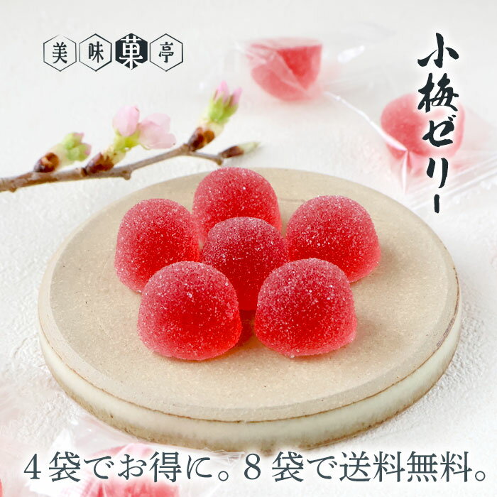 かわいい和菓子 母の日 ゼリー 個包装 小梅ゼリー 120g うめ ウメ 個包装 梅果汁入り ペクチン 甘酸っぱい 小粒 おやつ 駄菓子 送料無料8袋詰め合わせセット対象 お菓子 可愛い 手土産 常温 日持ち お土産 おかし 和菓子 柔らかい 食べやすい プチギフト 小分け 祖父母