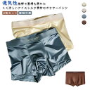 ボクサーパンツ メンズ 2枚セット 接触冷感 吸水速乾 メッシュ パンツ下着 夏用 ボクサーブリーフ 涼しい べたつかない 汗 汗染み防止 下着 肌着 インナー ショーツ アンダーウェア 抑菌 さらさら ヒンヤリ感 大きいサイズ 薄手 送料無料