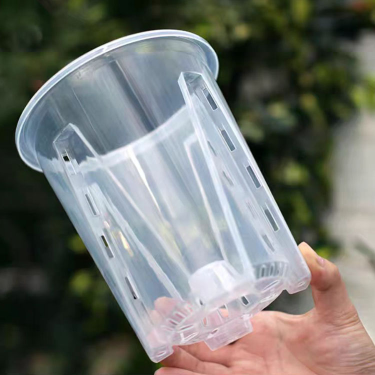 植木鉢 10鉢セット 蝶蘭 植木鉢 透明 穴付き プラスチック 蘭の鉢 胡蝶蘭鉢 洋蘭鉢...