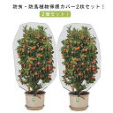 防虫ネット 植物保護カバー 園芸野菜栽培 防鳥ネット 2個セット 植物保護袋 野菜網 野菜栽培 園芸用ネット 防虫シート 防虫網 菜園 ベランダ DIY 果樹園...