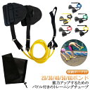 アームストレングス 初心者 練習 パドル 30LB 陸トレ 収納ポーチ付 スイミング 筋力アップ 運動 トレーナー 大人用 ストレッチコード 競泳 弾性バンド ...