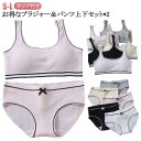 高校生 ショーツセット スポーツブラ ジュニアブラジャー シンプル 上下セット 学生 リブ ノンワイヤーブラ 英字ロゴ ジュニア向け フィットネス ヨガ 運動 ...
