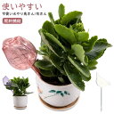 自動給水器 植物 水やり 水差し 鉢植え 観葉植物 自動水やり器 給水 植木鉢 園芸用品 プラスチック製 旅行 出張 留守中も安心 ギフト ガーデニング 園芸用品 挿すだけ かわいい 鳥型 花型 送料無料