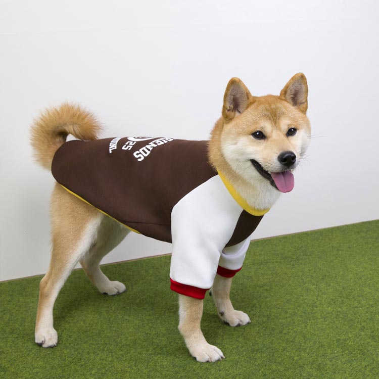 パーカー 裏ボア コート 秋田犬 可愛い ドッグウェア ペット服 コート 可愛い 暖かい ドッグウェア フード付き ペット服 犬洋服 犬の服 大型犬 パーカー 秋冬 柴犬 Tシャツ ペット服 裏起毛 中型犬 犬服 秋冬 ペット服 送料無料