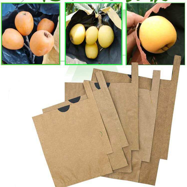 ��ų��� �̼��� 500���� �̼� ���� �̼³��� ����� ���γݤ��� ���� ��ʪ �ݸ��� ��� 500���� ��Ļ �ɱ� ������ 15��18cm 16��19cm