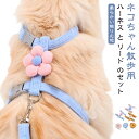 猫 ハーネス リード ダブルロック ワンタッチ式 抜けない 簡単 猫用ハーネス 猫用リード 猫用ハーネス&リードセット 柔らかい触り心地 ねこハーネス ねこリー...