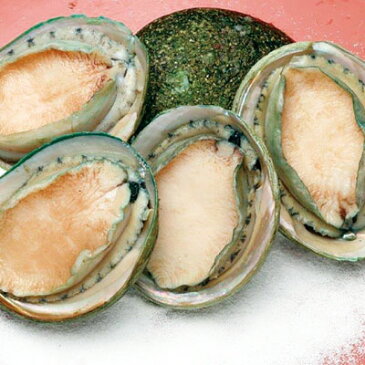 ゴダック)あわび(翡翠の瞳)グリーンリップ種1kg ゴダック 貝類 貝類 魚介類食材 【冷凍食品】【業務用食材】【10800円以上で送料無料】