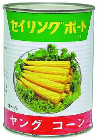 ヤングコーン缶3号缶　コーン　野菜類【常温食品】【業務用食材】 2