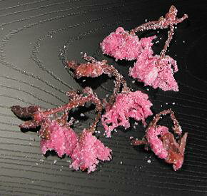 岡井）桜花塩漬ポット　180g＜2月中〜4月中＞ 岡井 季節の食材 【春商材】【常温商品】【業務用食材】