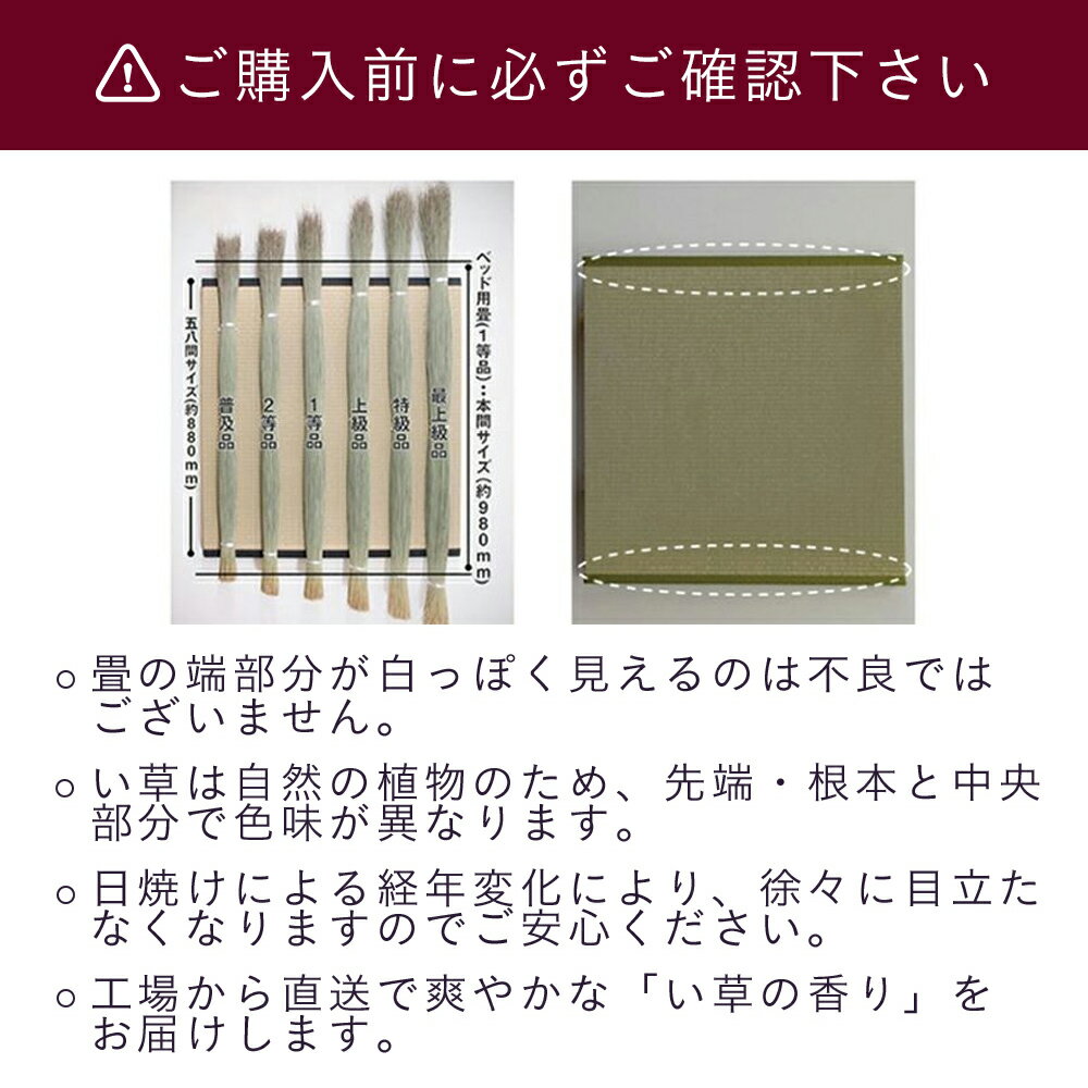 こうひん 日本製 コモド用 取り換え畳 シング...の紹介画像3