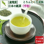 お買い物マラソンクーポン有！宇治茶【京都府】100g 日本茶 緑茶 ゆっくり急須で 水出しにも 旨みの煎茶