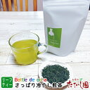 【フィルターインボトルで水出し茶】毎日飲みたい！さっぱり冷やし煎茶リーフ90g