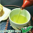 GW最大500円OFFクーポン！＼5日全品ポイント2倍／かりがね（若草）100g 日本茶 緑茶 茎茶 甘みのあるオリジナルブレンド茶 お茶