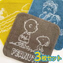 スヌーピーメイト スヌーピー ミニタオル ミニタオルハンカチ 20cm 【3枚1セット】 PEANUTS SNOOPY 保育園 幼稚園 チャーリー・ブラウン ル...