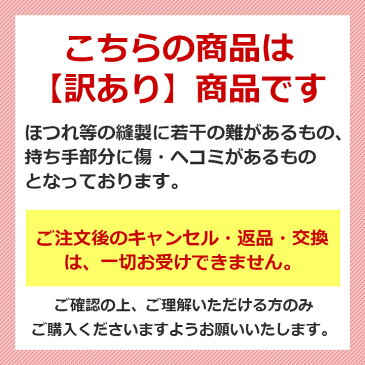 【訳あり】T-SELECTIONS レディーストートバッグ ターコイズブルー キャンバストートバッグ 帆布生地と裏地付き 丈夫 軽量 ファスナー付き A4対応 B品【t-001040】