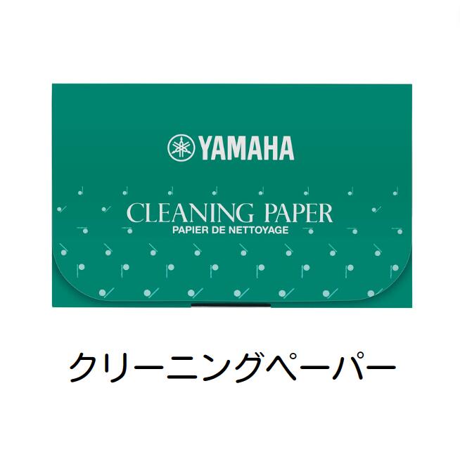 【郵送で送料無料】YAMAHA　クリーニ